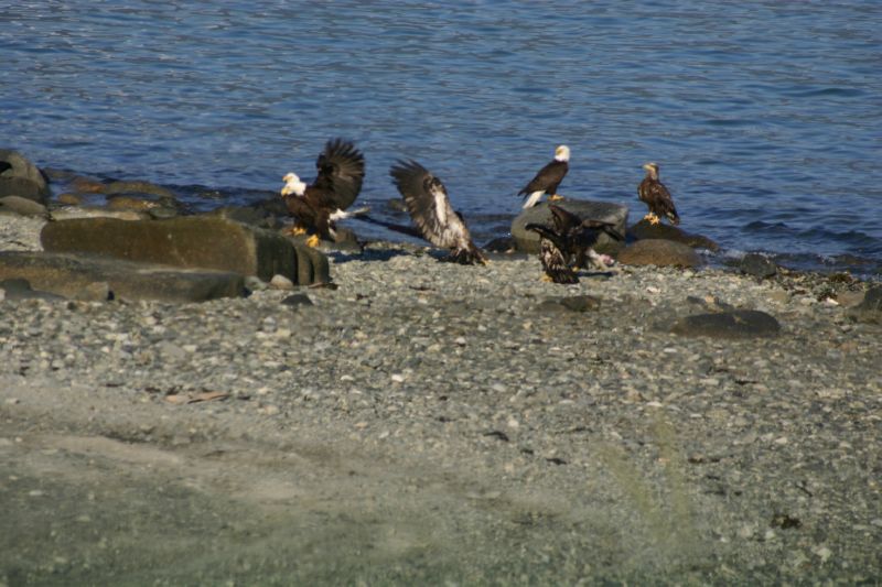 062404 Haines AK (10074)